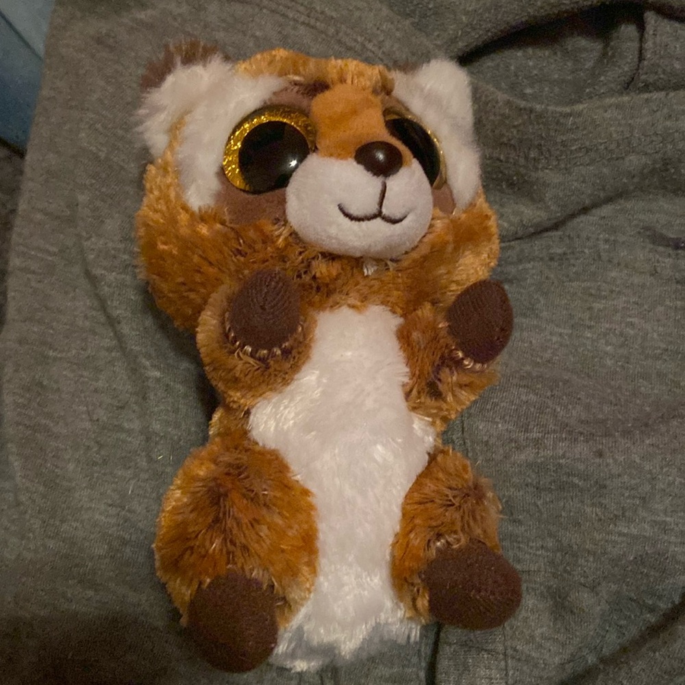 Little raccoon